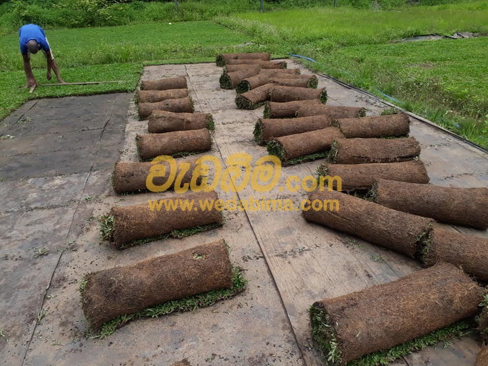 low budget simple home garden design in Peradeniya