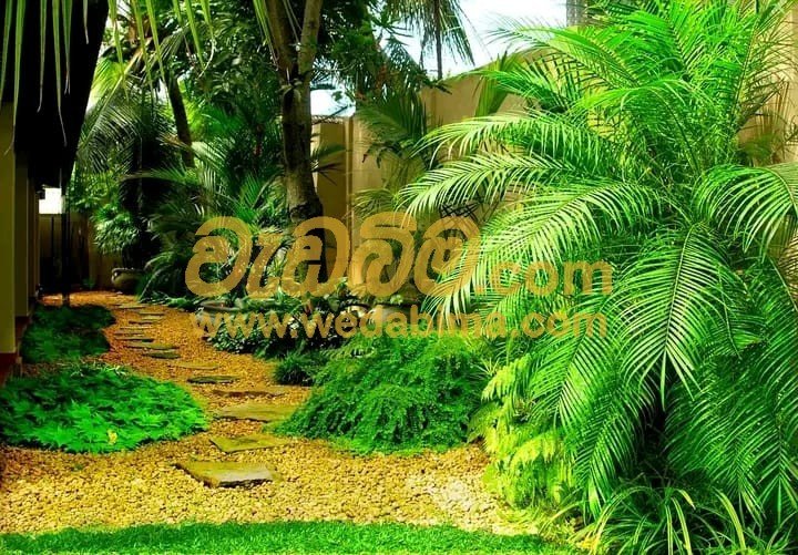 Garden Accessories for Sale at Best Price in Colombo