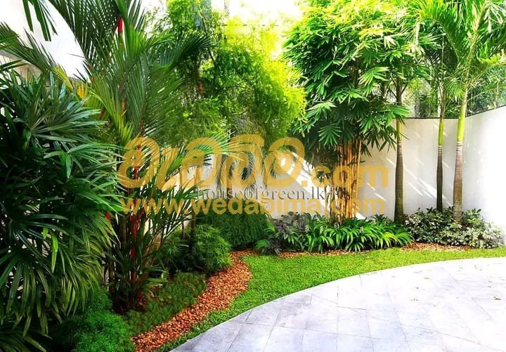 Garden Maintenance Services in Kaduwela