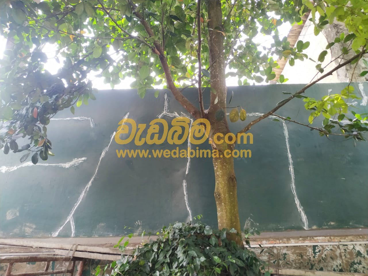 Wall waterproofing contractors in colombo