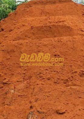 Rathu pas price in kalutara srilanka