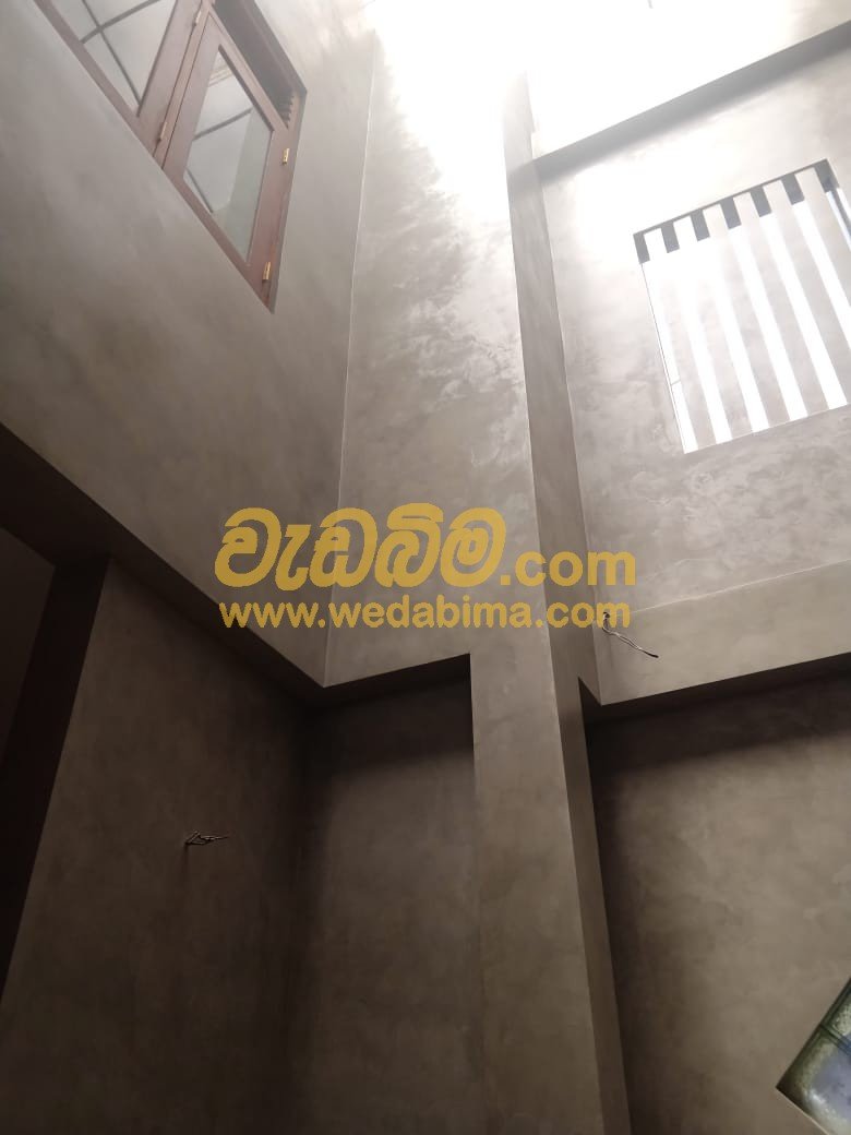 titanium wall finish colombo