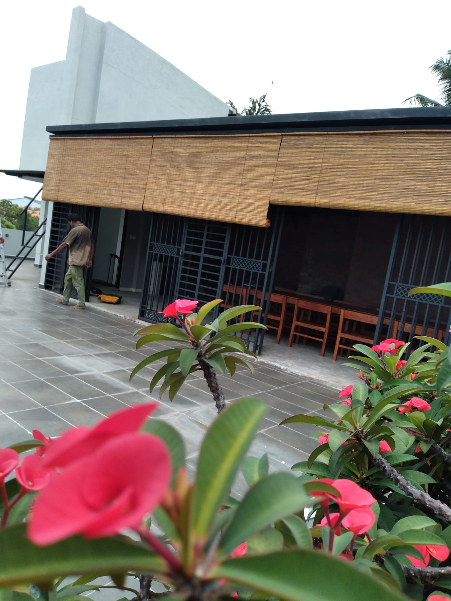 Natural Bamboo Roll Up Window Blinds Nuwara Eliya