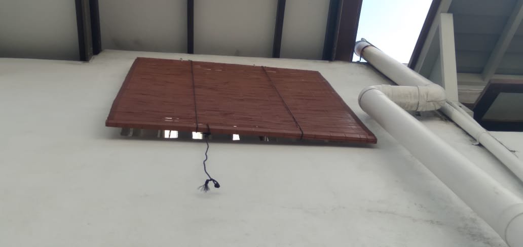 bata palali in sri lanka