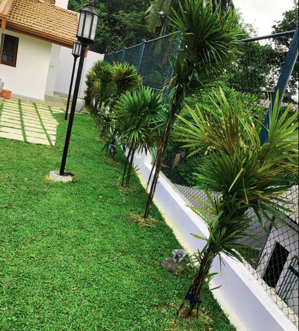 landscaping companies in kandy