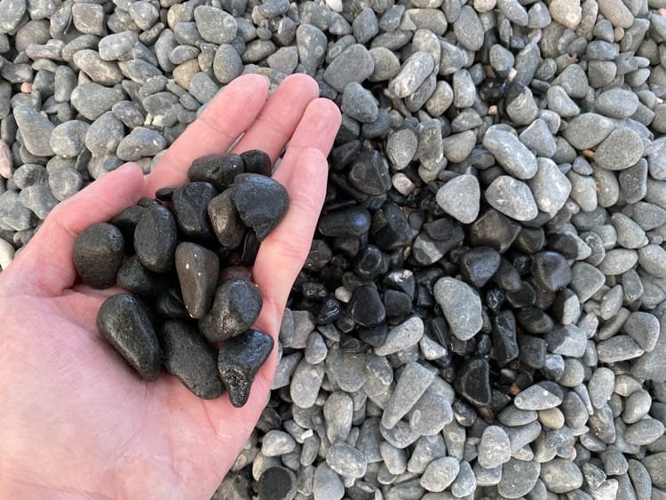 Black Pebble price in gampaha