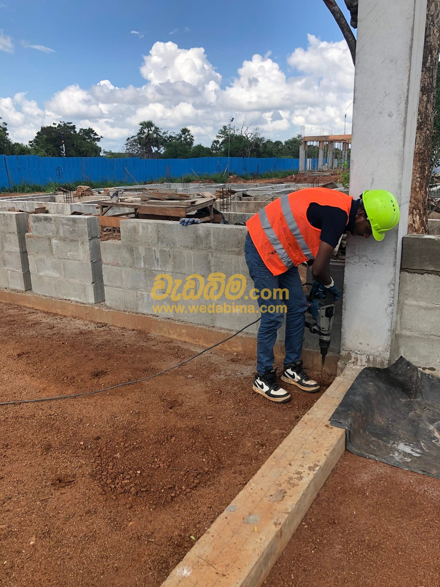 Termite treatment chemicals gampaha