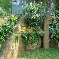landscaping prices in sri lanka