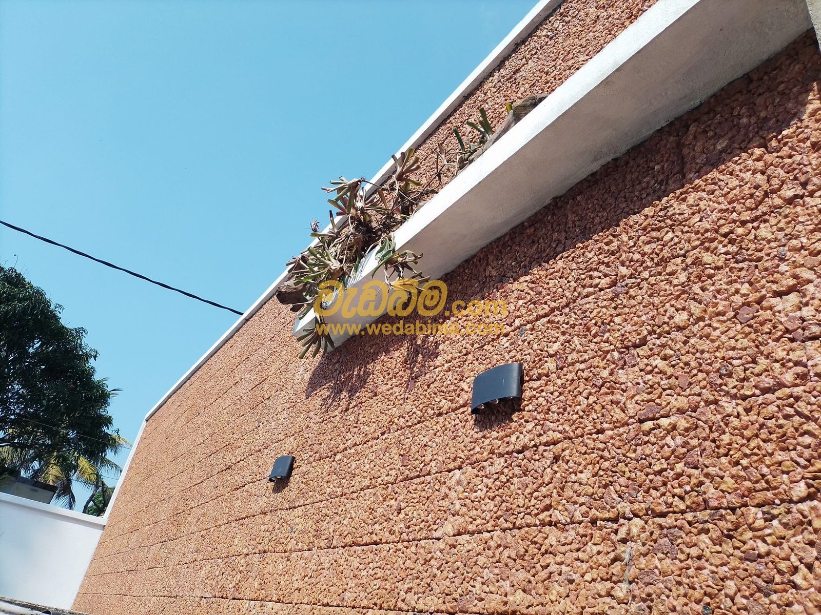 kabok price in Seeduwa