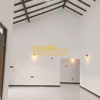 House Painting Contractors