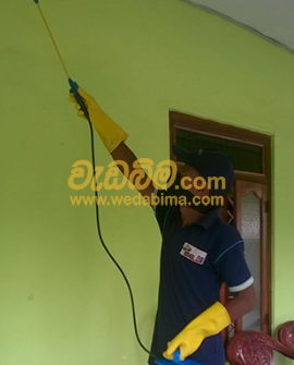 termite control in gampaha kegalle