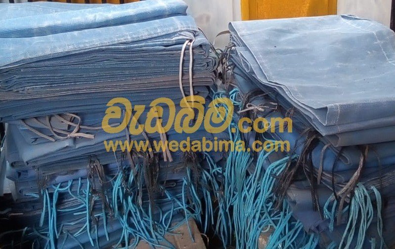 Safety Nets Price colombo