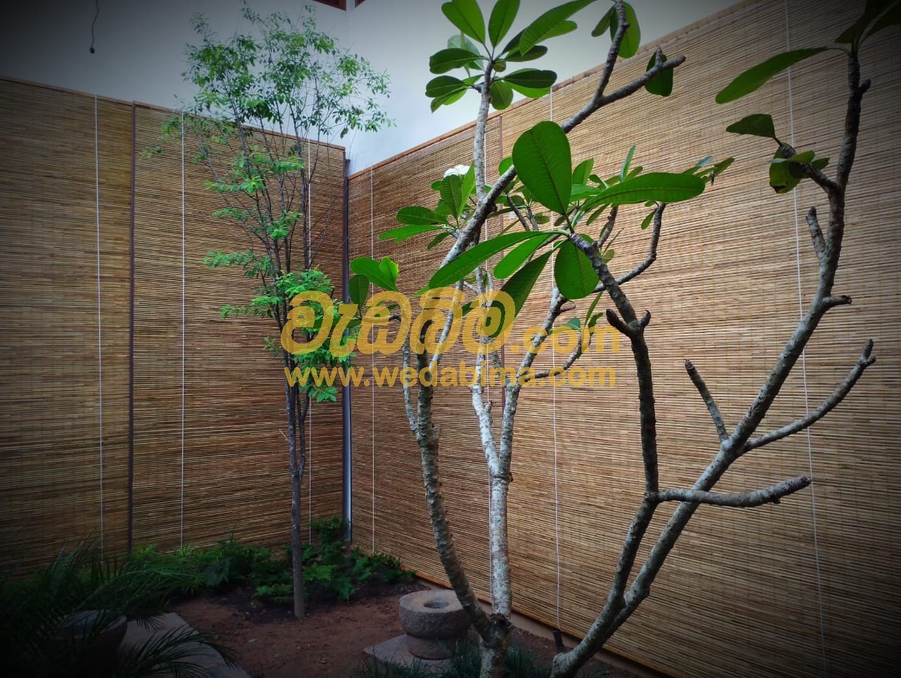 Bamboo Blinds price in colombo