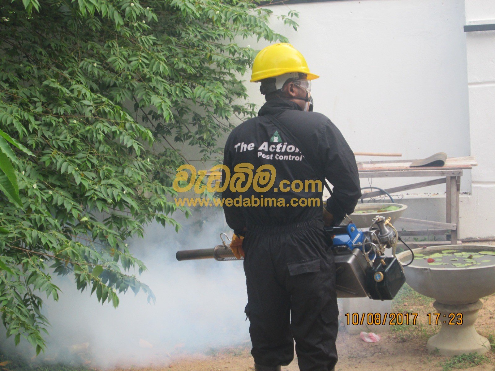 termite treatment - colombo