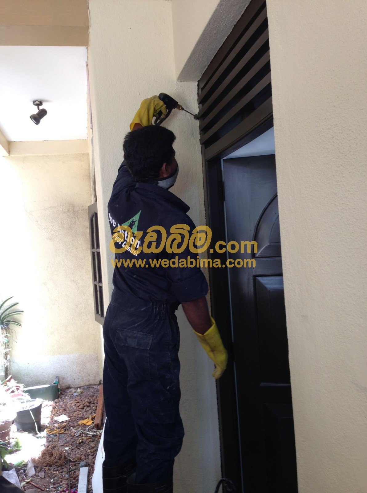 anti termite solution