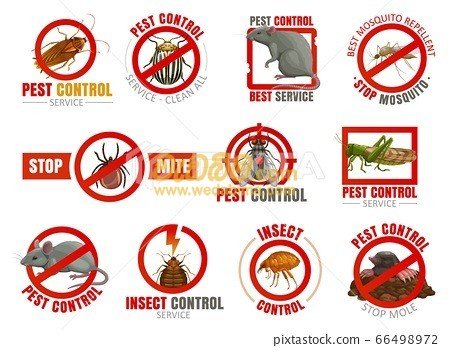 anti termite service price in malabe