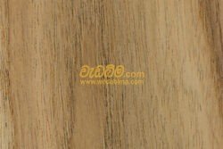 Albesiya wood price in Battaramulla, srilanka