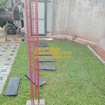 Other image 202401/wedabima.com_2liskskrhdp9mpsBMRdjZT3h499FCWZsALMTIx04.jpeg