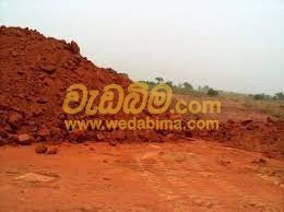 Other image 202401/wedabima.com_ayxuVZfcdCWJtirF7qQNzsdbrUHnJcuw3Lr8mNFe.jpeg