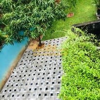 Other image 202401/wedabima.com_mrXEaw8bAWO0LMOipkJdm0KmXWbUIERPcjiNwN7z.jpeg