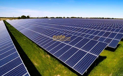 Other image 202401/wedabima.com_pywbkHFgmdIQmWSGyN1iH532oPI8R8FMvMLnUW4T.jpeg