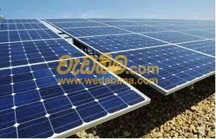 Other image 202401/wedabima.com_xTHT8IdIHij796BvRaku7UotUgLZ3P6qXskqXo4t.jpeg