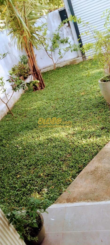 Other image 202403/wedabima.com_6JGjr0KhqdGMmP1FckqX55hQ49xB0CfYOn6pjNoL.jpeg