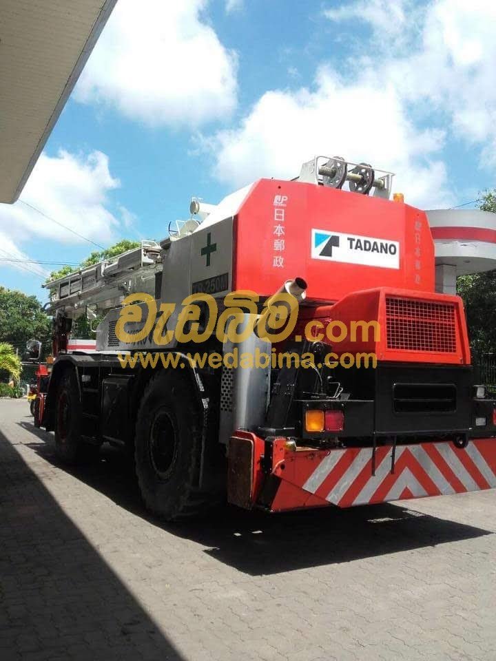 Other image 202403/wedabima.com_rmI75JrGRITXJ2Y408fOShmEapmexuCoB2FL2s1e.jpeg