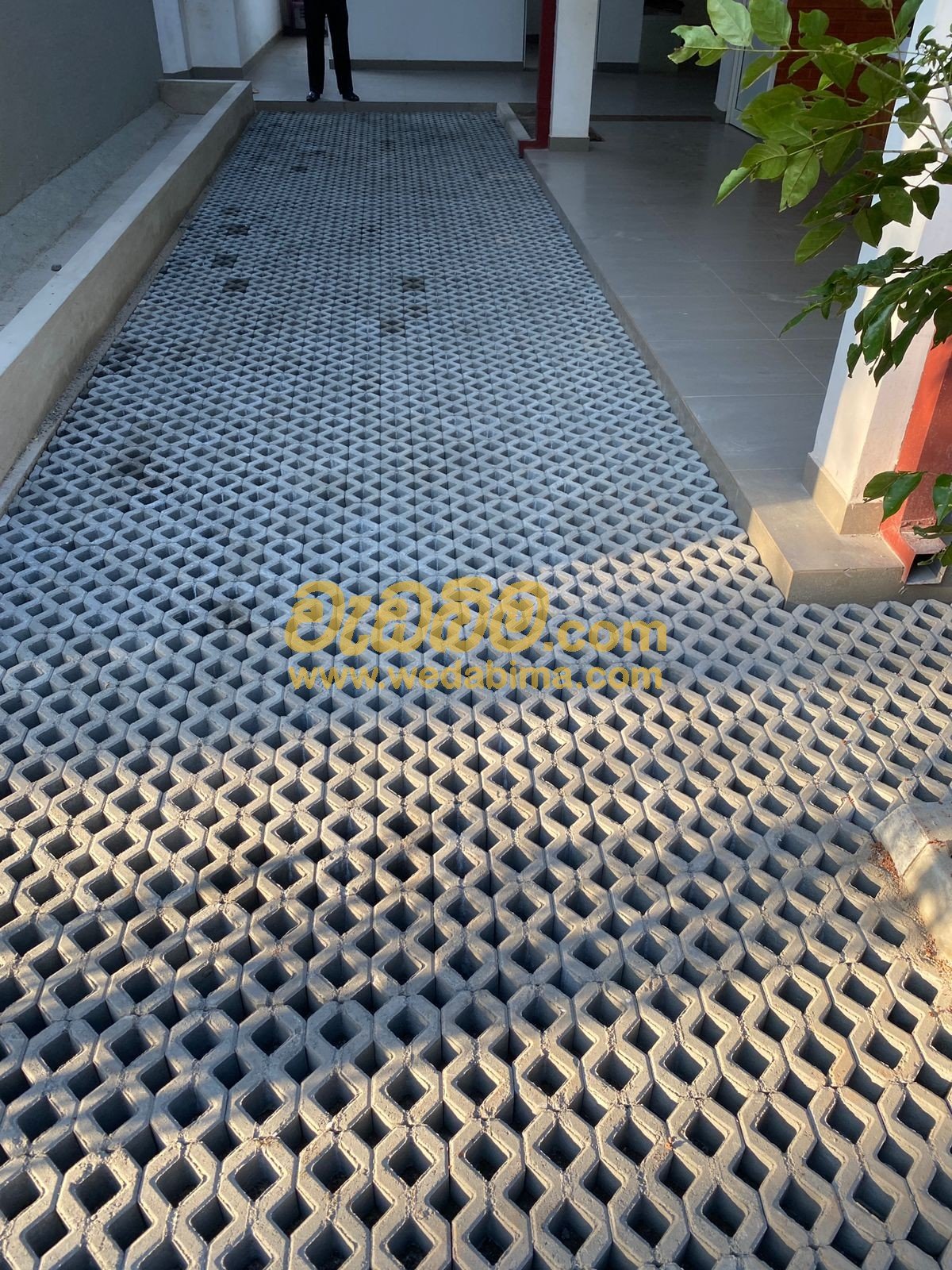 Other image 202405/wedabima.com_6vvBIFCQFYlQnLQRXPA3o3qdZGN1JlHZXcR4etJH.jpeg