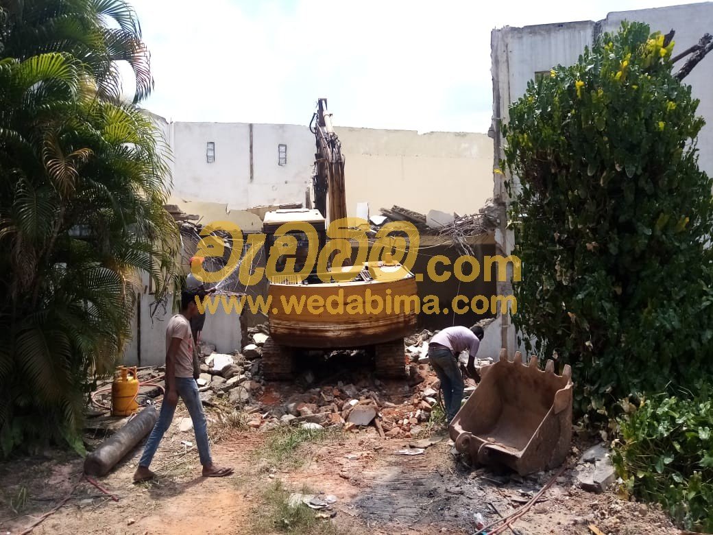 Other image 202405/wedabima.com_i18oY7ycoMMCTDgTRaPA5Ii44dp6WGrHNHQVEwvo.jpeg