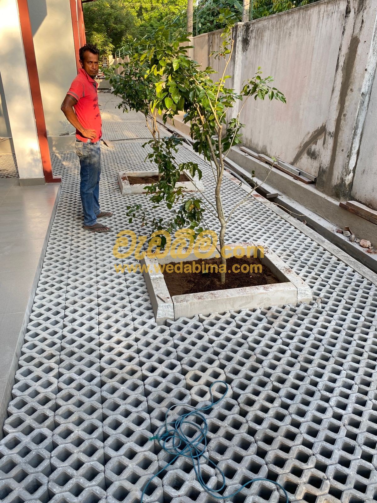 Other image 202405/wedabima.com_jG5OMQVKkaZlQbPQaCrWC2GPK4Eb59T6U6rePryc.jpeg