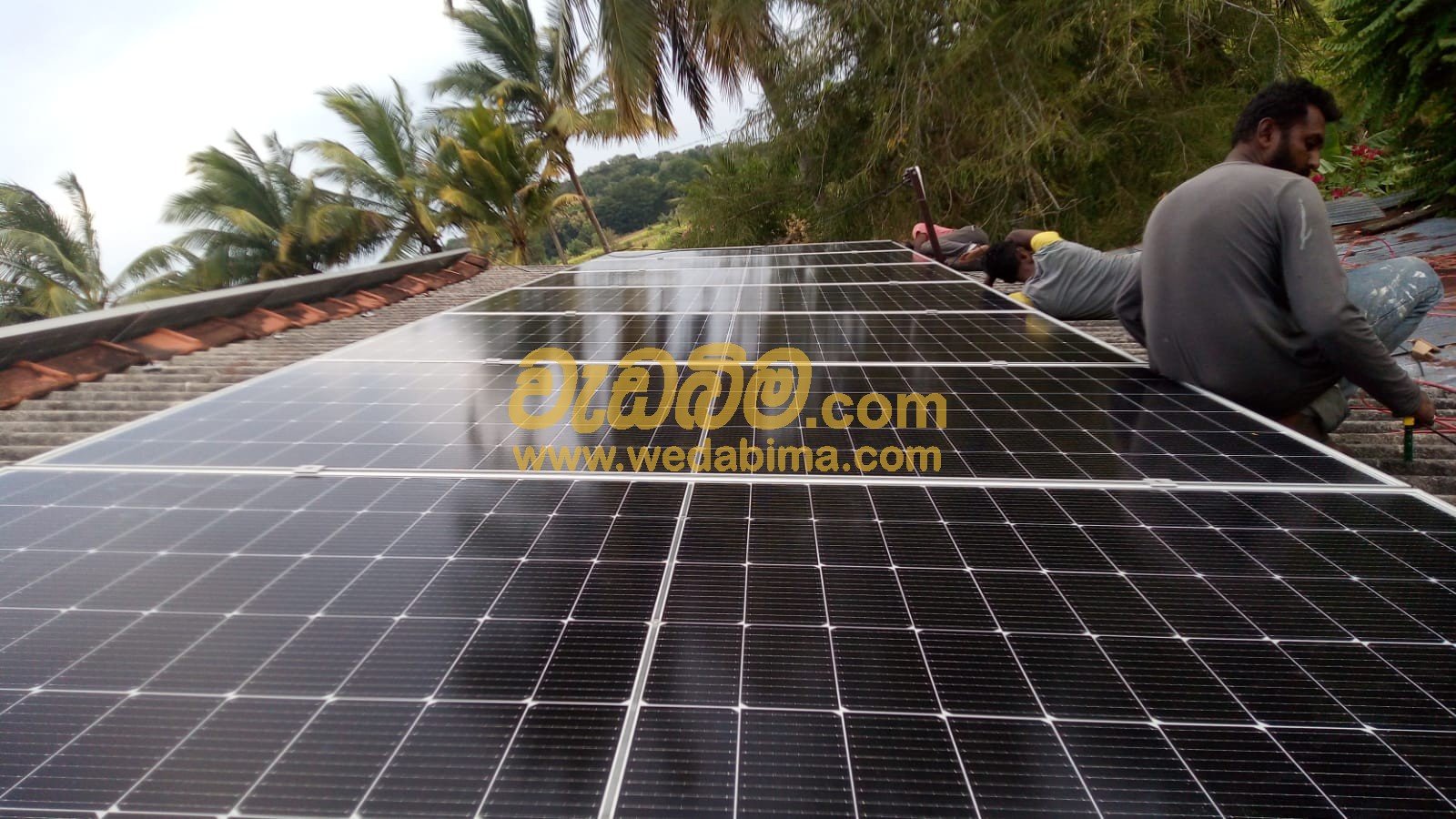 Other image 202411/wedabima.com_r9Lb9uS328miS0EvY7Nz2QHHH93mmOHTPjNhD9Xt.jpeg