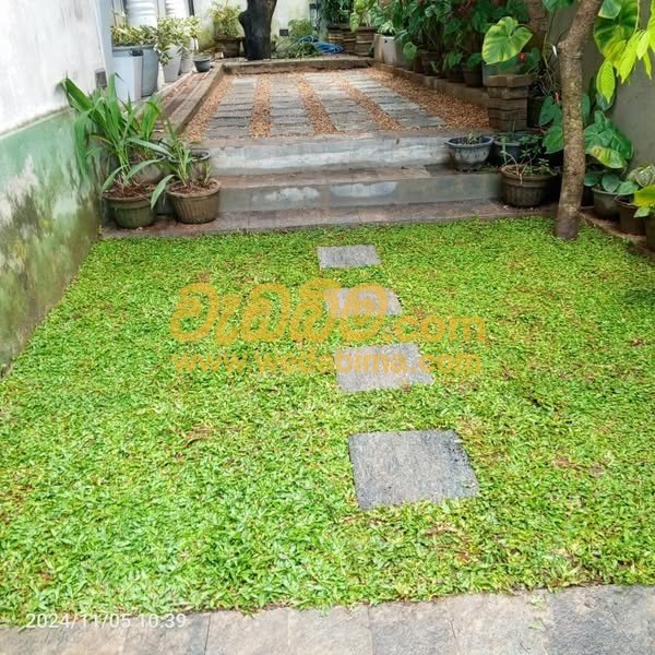 Other image 202412/wedabima.com_XQVTZqSo9DMvsuld5HiERkPWj7ugW6UrJ2Djap0a.jpeg