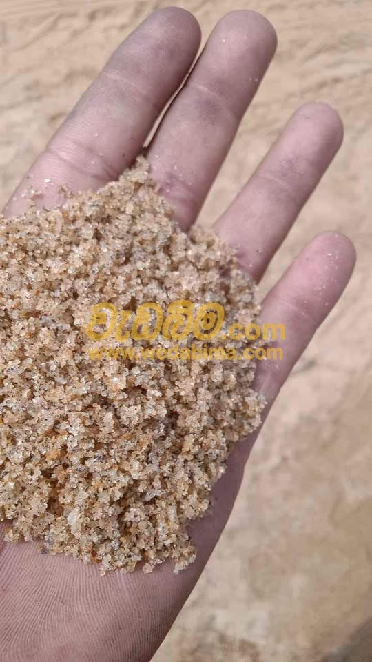 Other image 202412/wedabima.com_k7YtnyUaDF0yje42PypVokPKcvNxTJreuvEXMLAB.jpeg