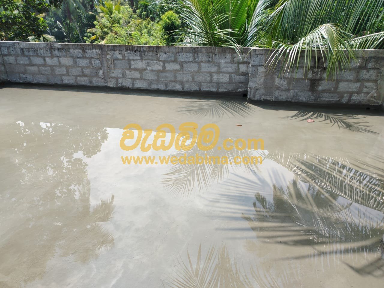 Other image 202504/wedabima.com_W7LJKedJxF3KFB3SuiCPpMOHqiVCNjRxzvU5csnk.jpeg