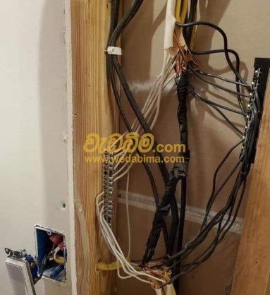 Other image 202504/wedabima.com_Y4JYj31AvW9JbuYL8StfeULH8hMufdAz73kkTW4F.jpeg