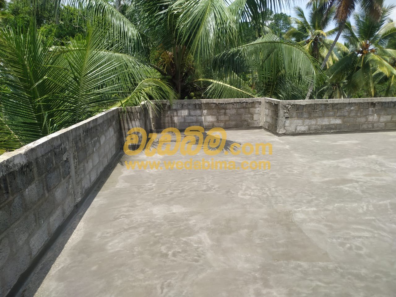 Other image 202504/wedabima.com_sZwlCIED4IXeR46w3if6SgMJixTb6pQlREFiBvQ5.jpeg