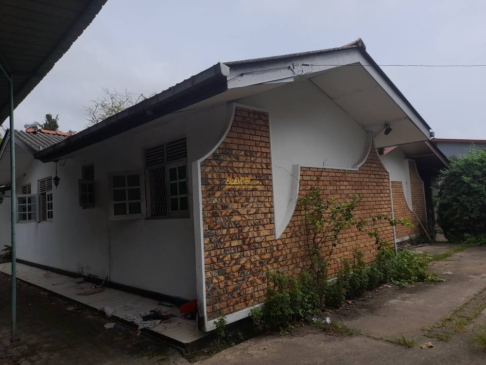 Other image 202505/wedabima.com_HDppyLzQwtVjHXN1YVYKdYYI9zkbyKaAqImRC36r.jpeg