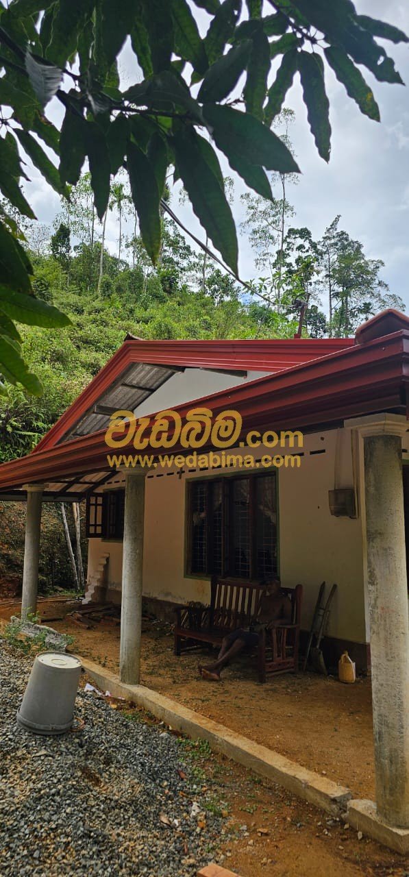 Other image 202505/wedabima.com_bbyEQChGdYPoIPpda6Ja4BHZFjGA23VjR73ABJfM.jpeg