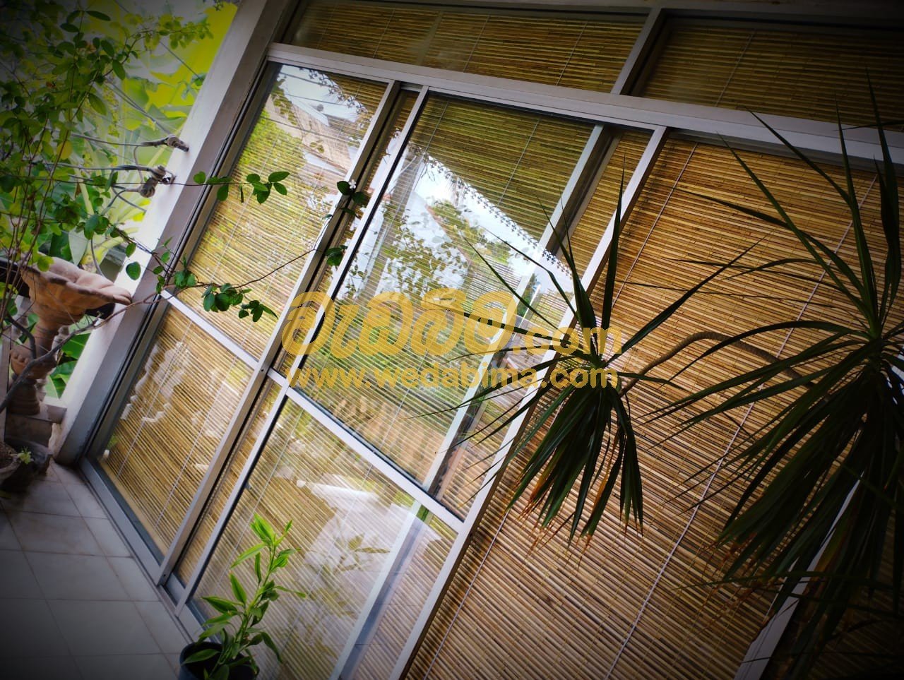 Other image 202505/wedabima.com_vlNHWL5nBjDyk8MnE5qPzr4PRMoZyMm6n8NbVDju.jpeg