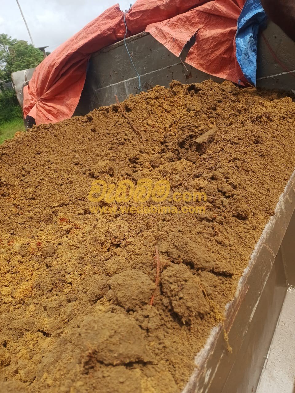 Other image 202507/wedabima.com_82jVkupzN4kQvTLnrOa6LwXgOBjwhdLWbycmcuzf.jpeg