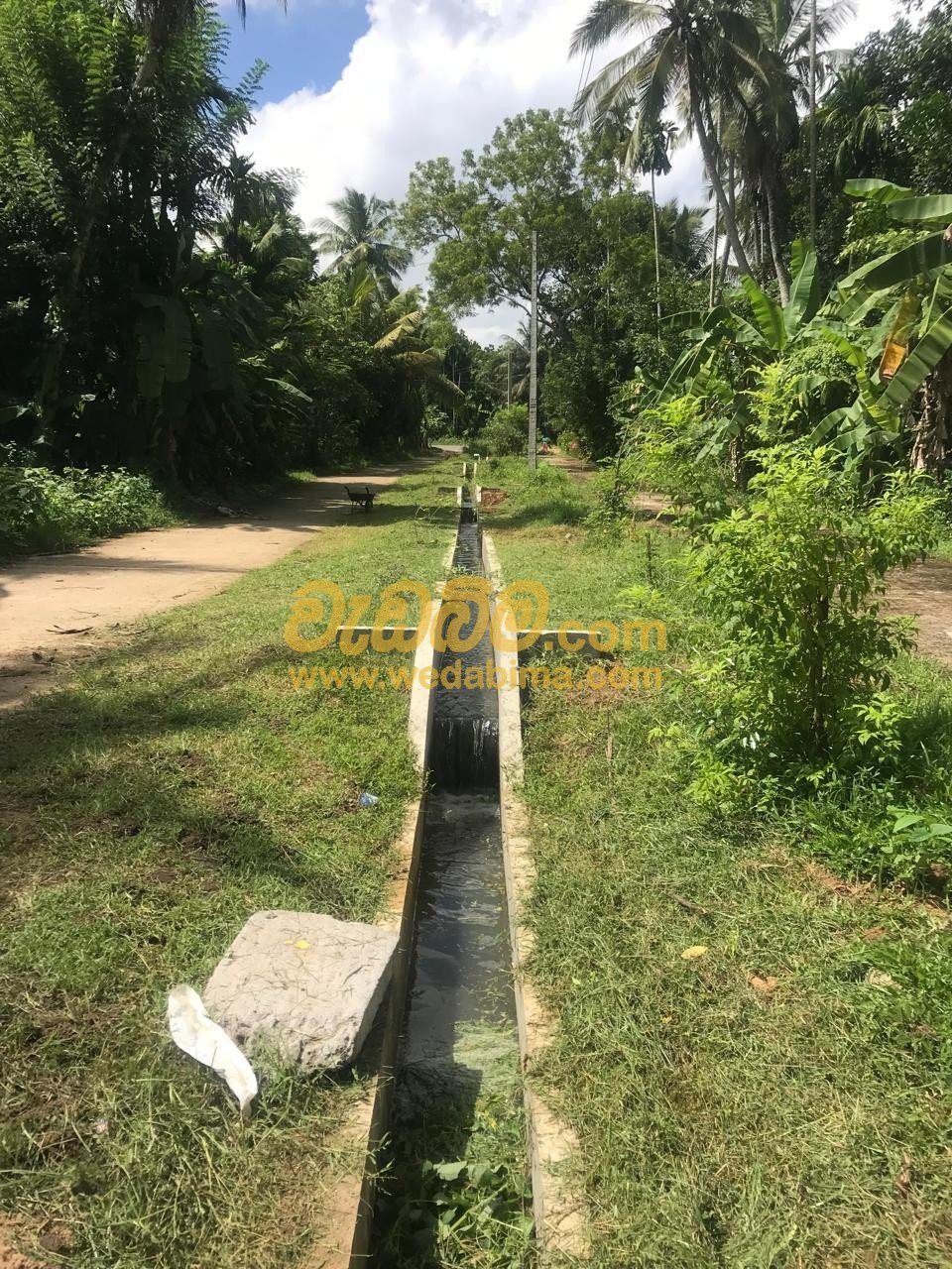 Other image 202507/wedabima.com_Yi2Hz17SKKUyceD9NBF2Y6LQrYebEMPkQG4mfXbq.jpeg