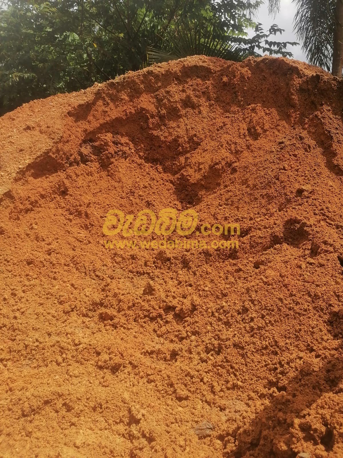 Other image 202507/wedabima.com_wRpz2YZmTAdKuBkWqVjpMXmOY4qpnNhRPC4l8CWz.jpeg