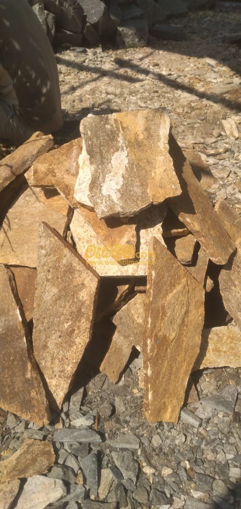 Other image 202507/wedabima.com_xGCRsBvAss4DzeTcWniF0wIiqzdazCPJrmx5ot1t.jpeg