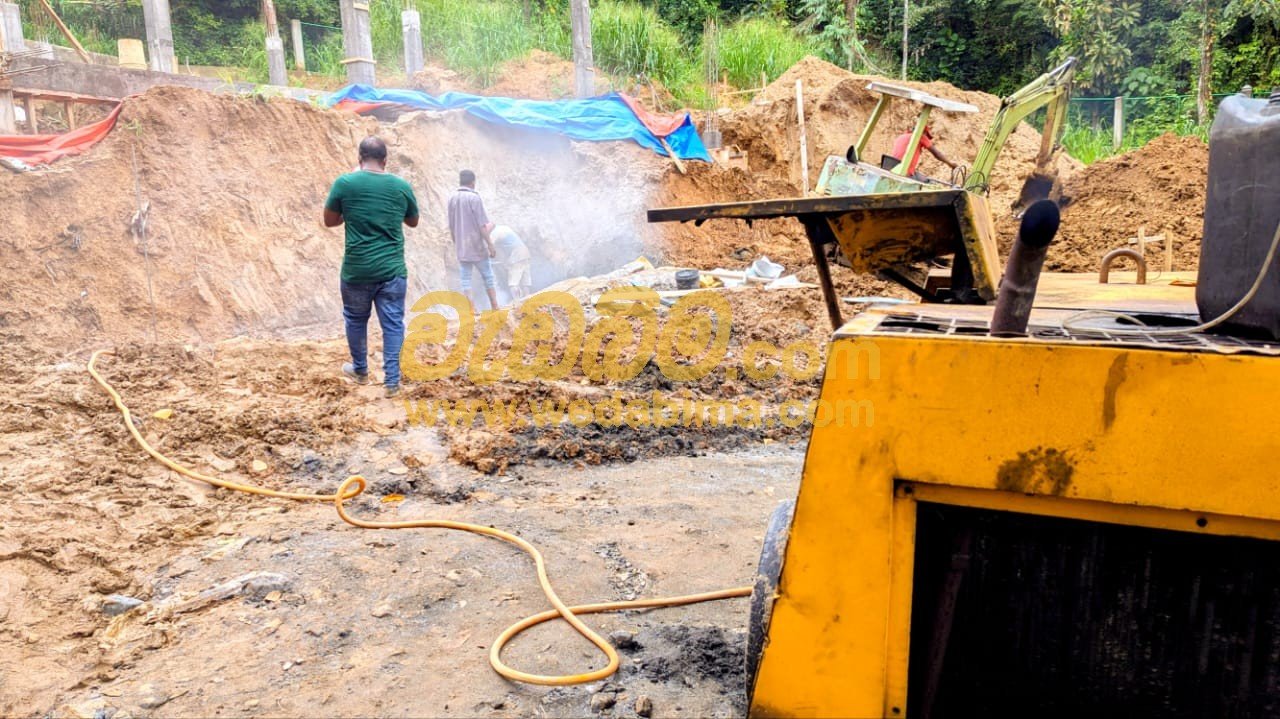 Other image 202507/wedabima.com_yo707NqRB5sUt0ANuQ5BKWv7eLU6XzmbSTFzYhP8.jpeg