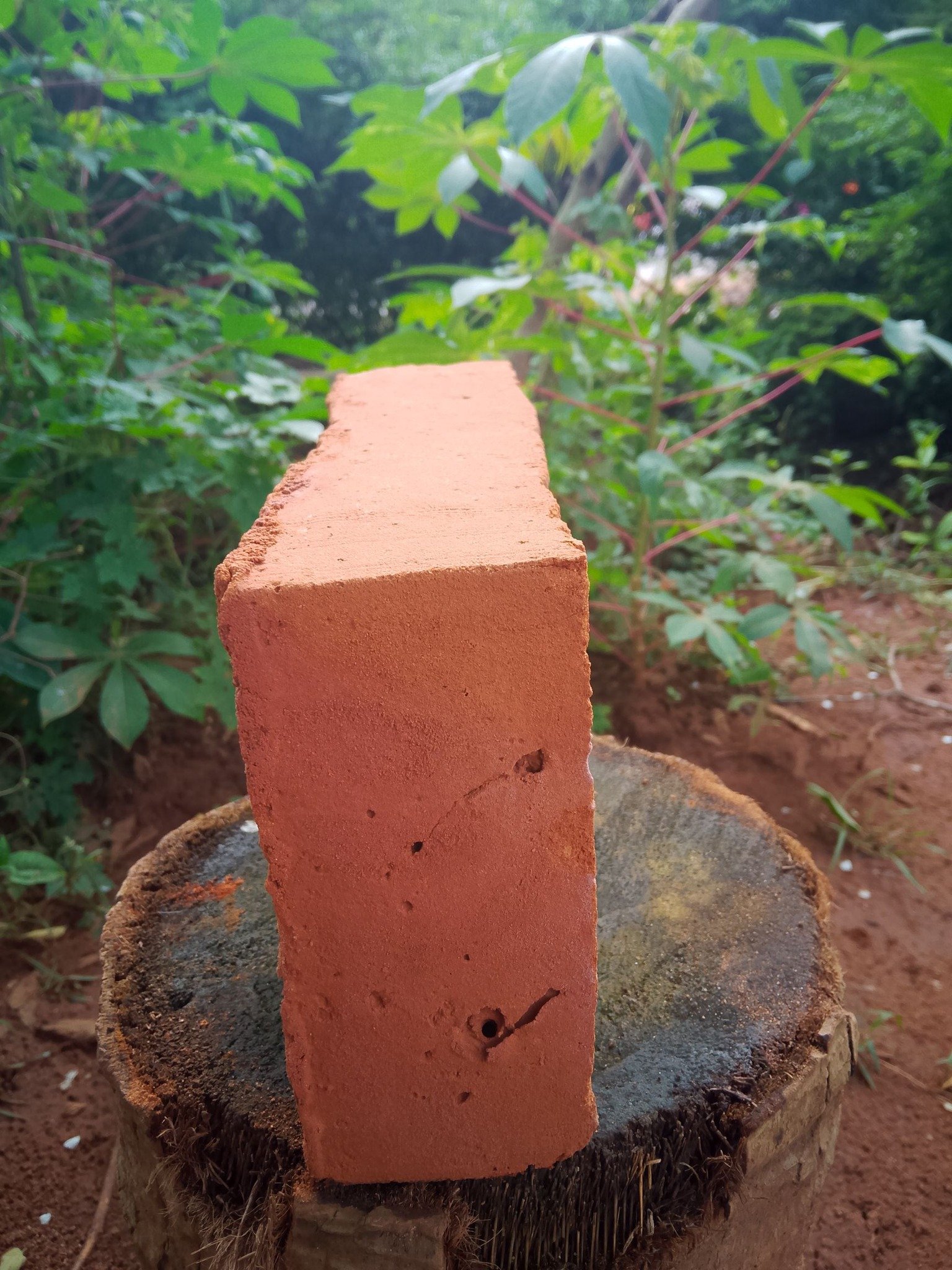 Other image 202508/gadol-suppliers-and-manufactures-in-anuradhapura-wedabima-66a053a87c.jpg