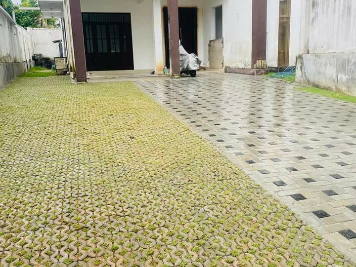 Other image 202508/interlock-designs-for-gardens-in-colombo-wedabima-43edf9c2f1.jpeg