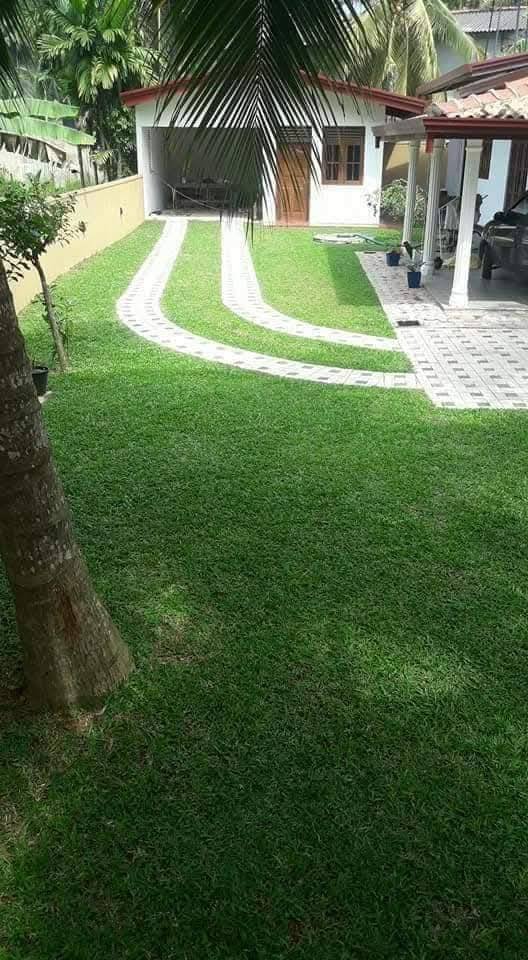 Other image 202508/landscaping-contractors-in-wattala-wedabima-1374a734a3.jpg
