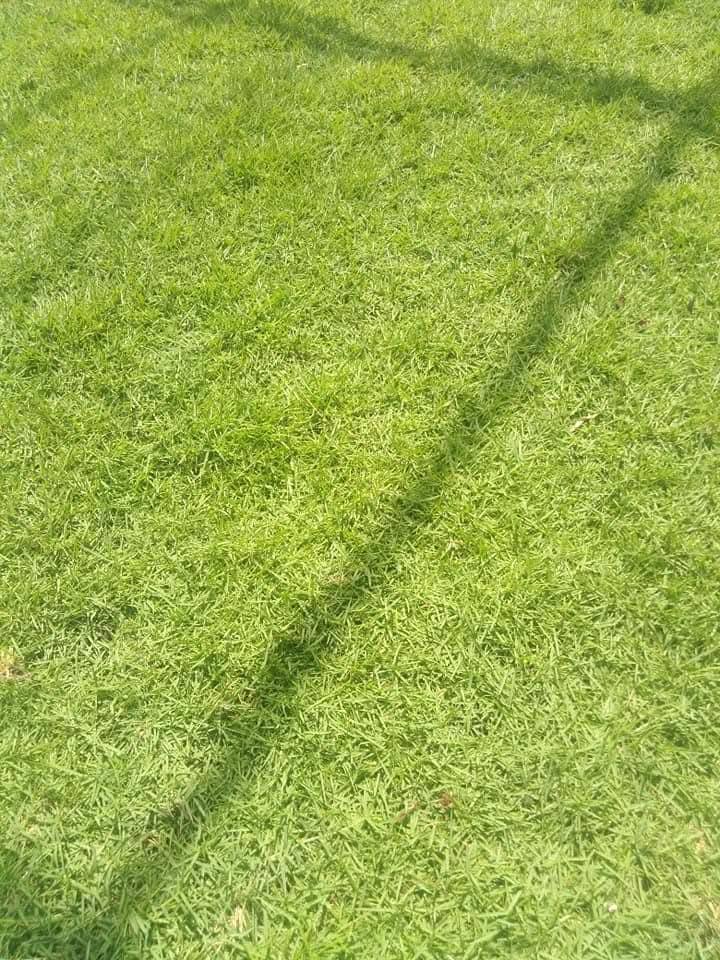 Other image 202508/landscaping-contractors-in-wattala-wedabima-7c2caaff9c.jpg