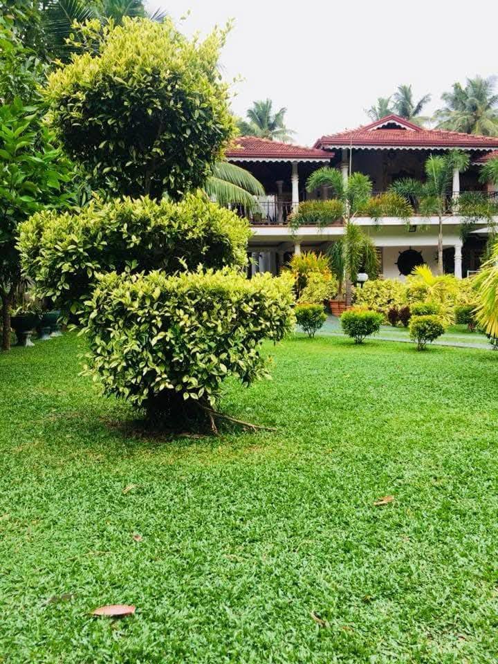 Other image 202508/landscaping-services-price-in-ja-ela-wedabima-75c2f00240.jpg